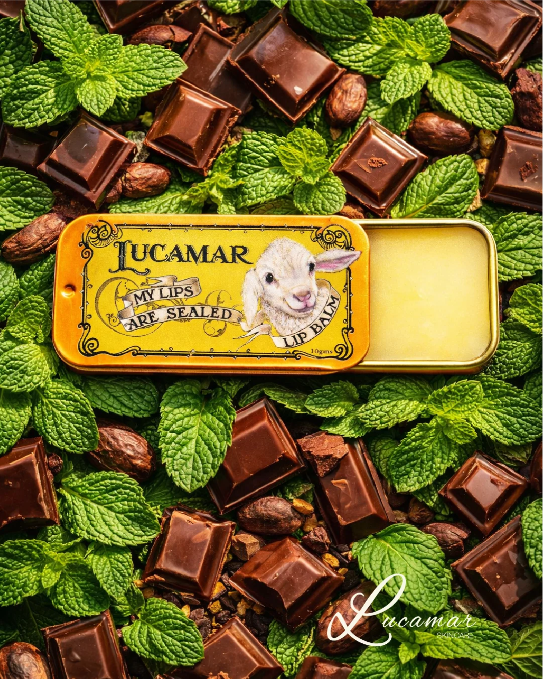My Lips Are Sealed - Lanolin Lip Balm - Choc Mint